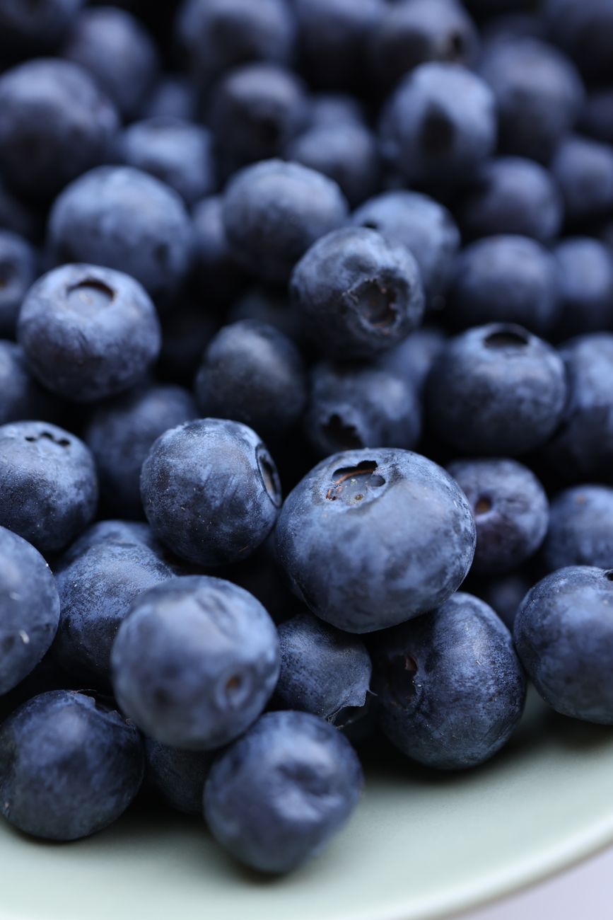 Blueberries served on a white plate
