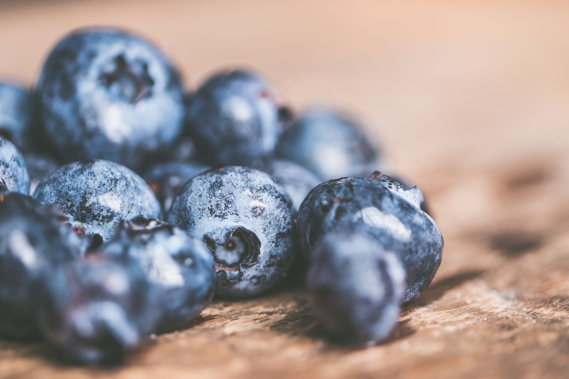 Blueberries scattered across weathered wood