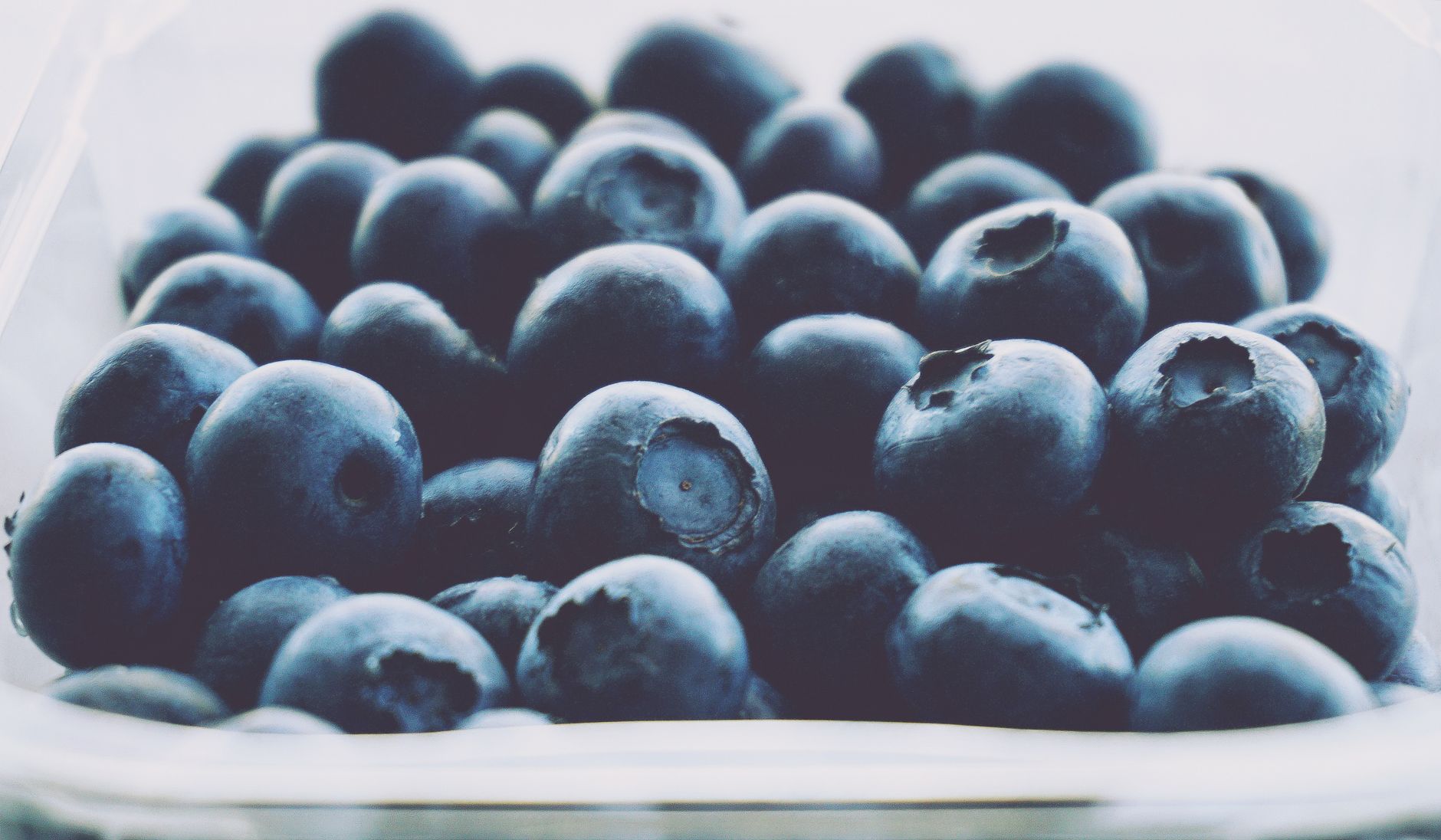 A dish of plump ripe blueberries