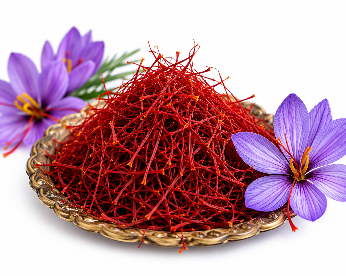 Close-up of Grade A1 Mongra saffron stigmas from Pampore