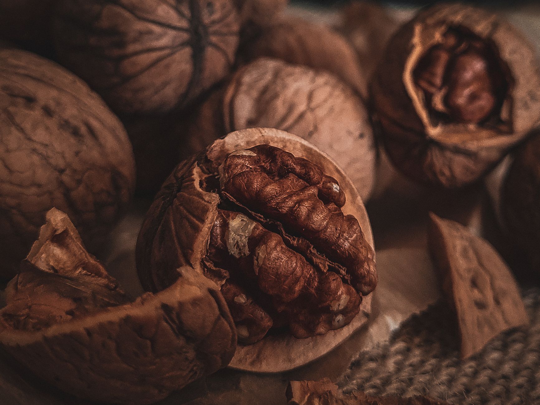 Cracked walnuts showing plump kernels