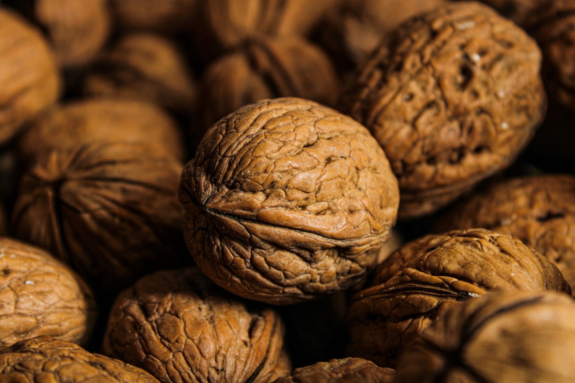 A heap of whole walnuts in their shells