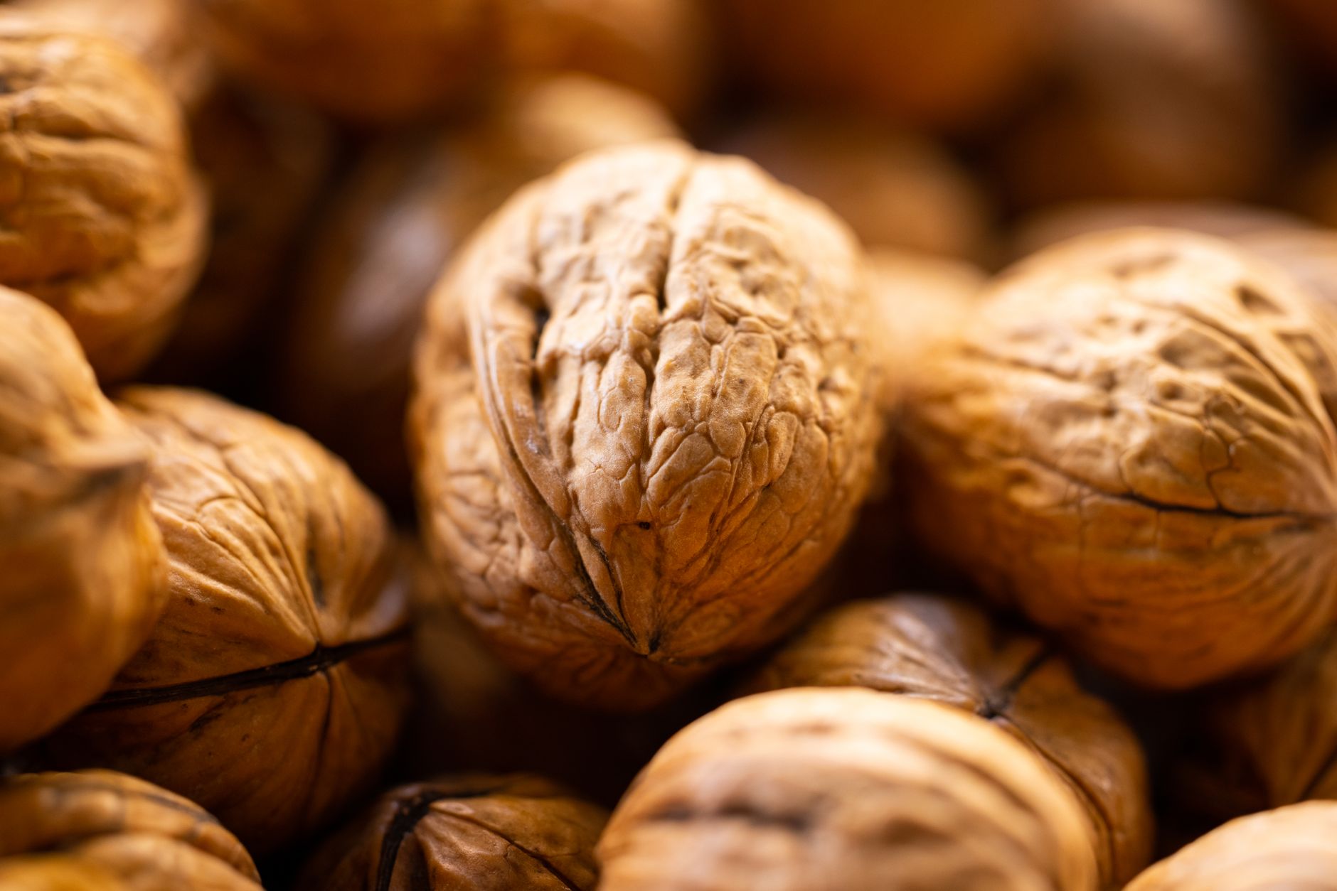 Whole walnuts lit warm from the side